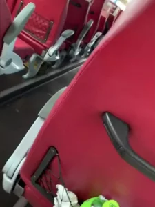 大巴车侵犯肉(H)短篇